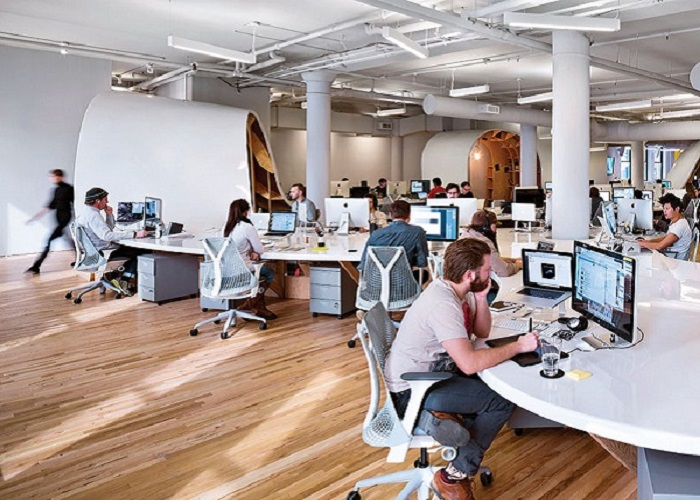 Corporate Office Interiors